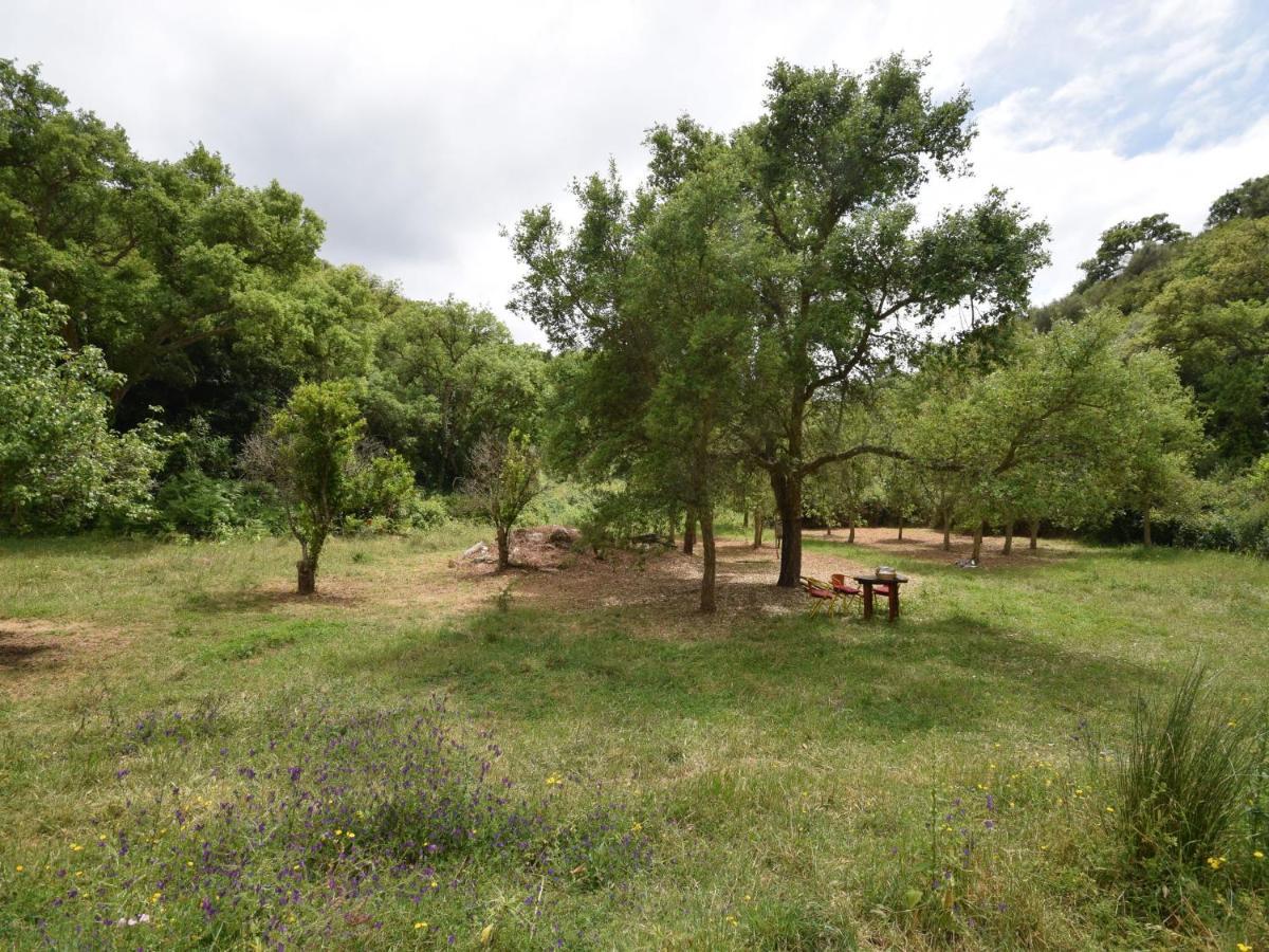 Quiet And Cottage In The Estate Casas Da Cerca Troviscais Εξωτερικό φωτογραφία