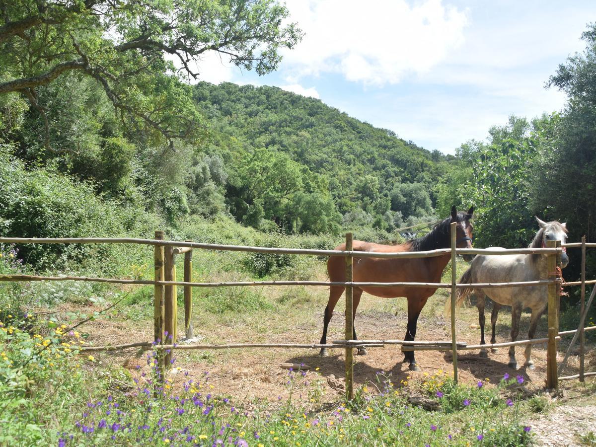 Quiet And Cottage In The Estate Casas Da Cerca Troviscais Εξωτερικό φωτογραφία